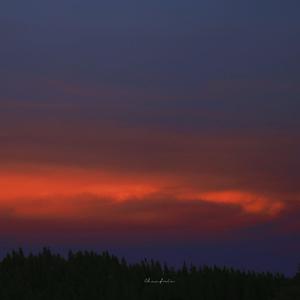 奇怪式后仰式深喉视频
