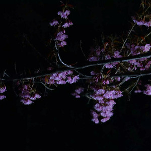 奇怪式后仰式深喉视频
